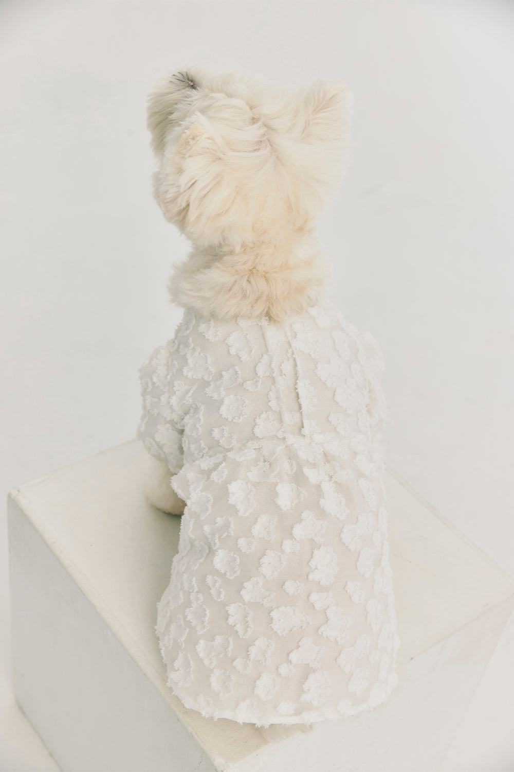Luxury | Daisy Cloud 3D Textured Fluffy Dress Pet Apparel