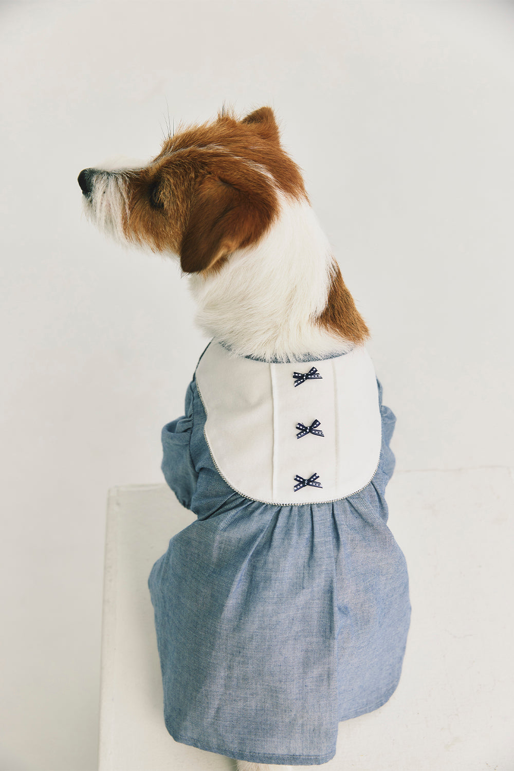 Main | Elsie Pleated Bow Sweet Pet Dress
