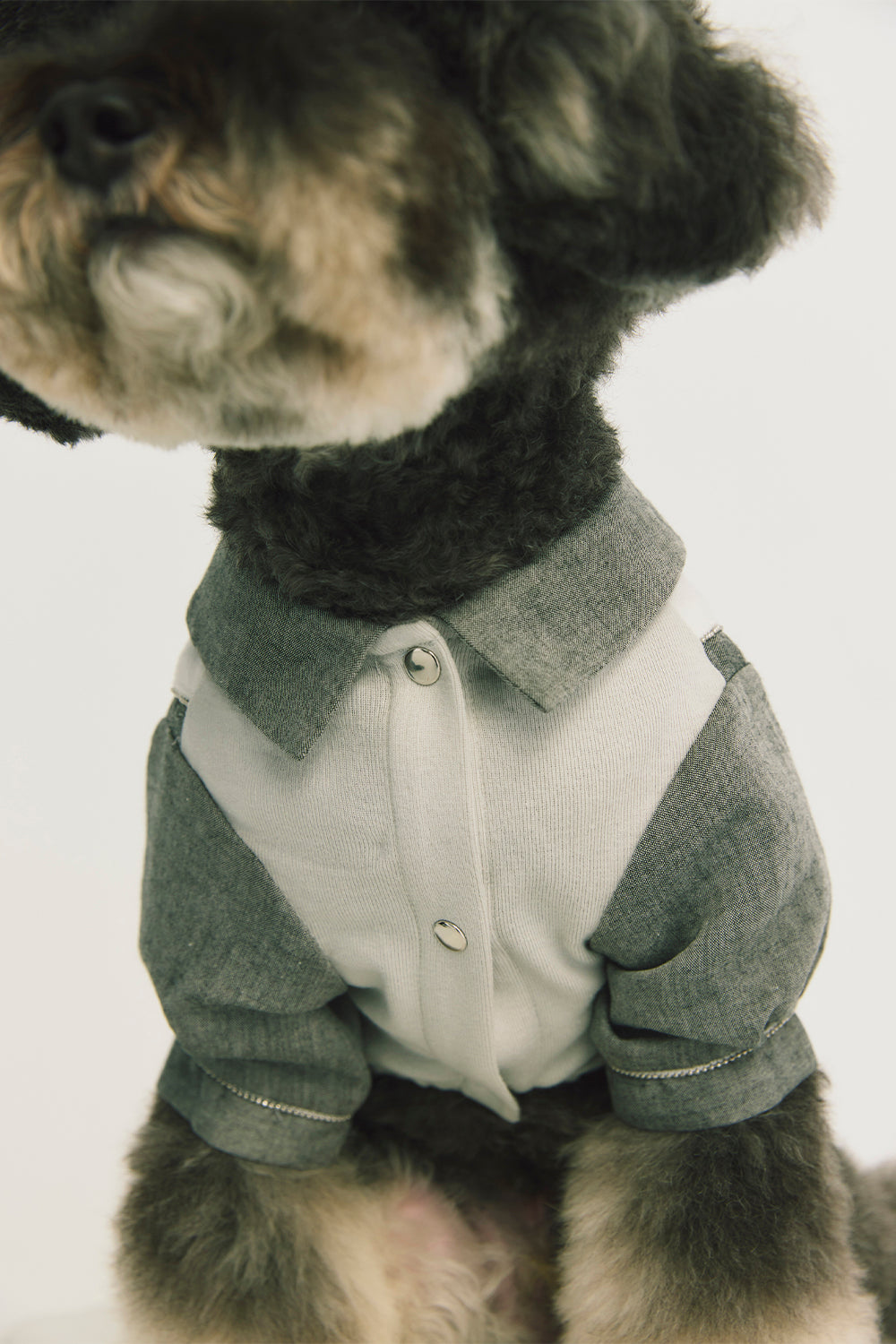 Main | Henry Pleated Bowtie Gentleman Pet Romper
