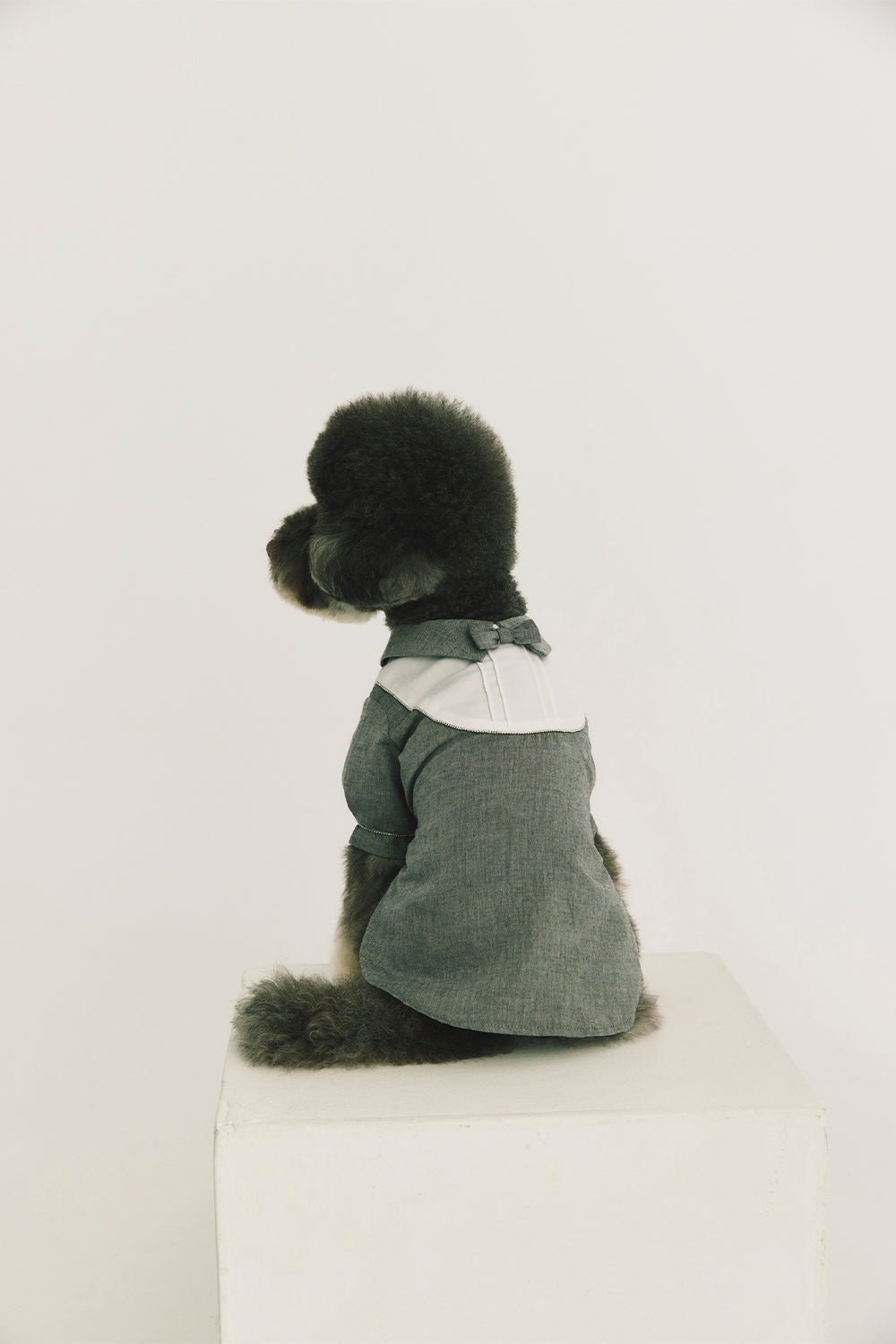 Main | Henry Pleated Bowtie Gentleman Pet Romper