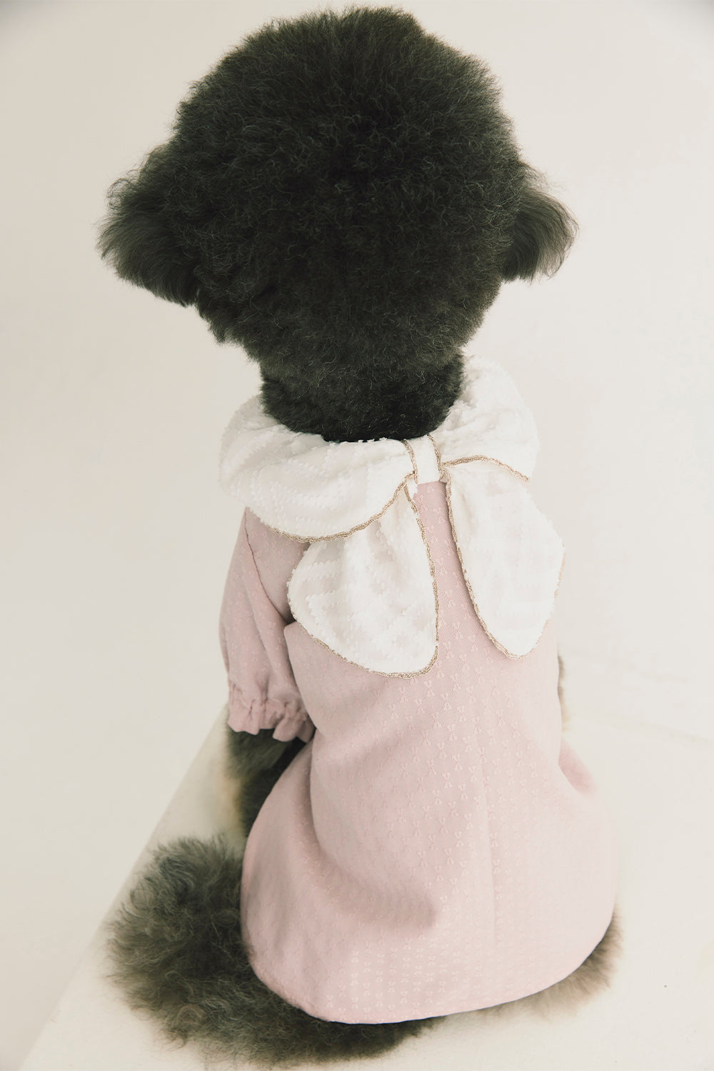 Luxury | Sylvie Sheer Bow-Tie Dress for Pets