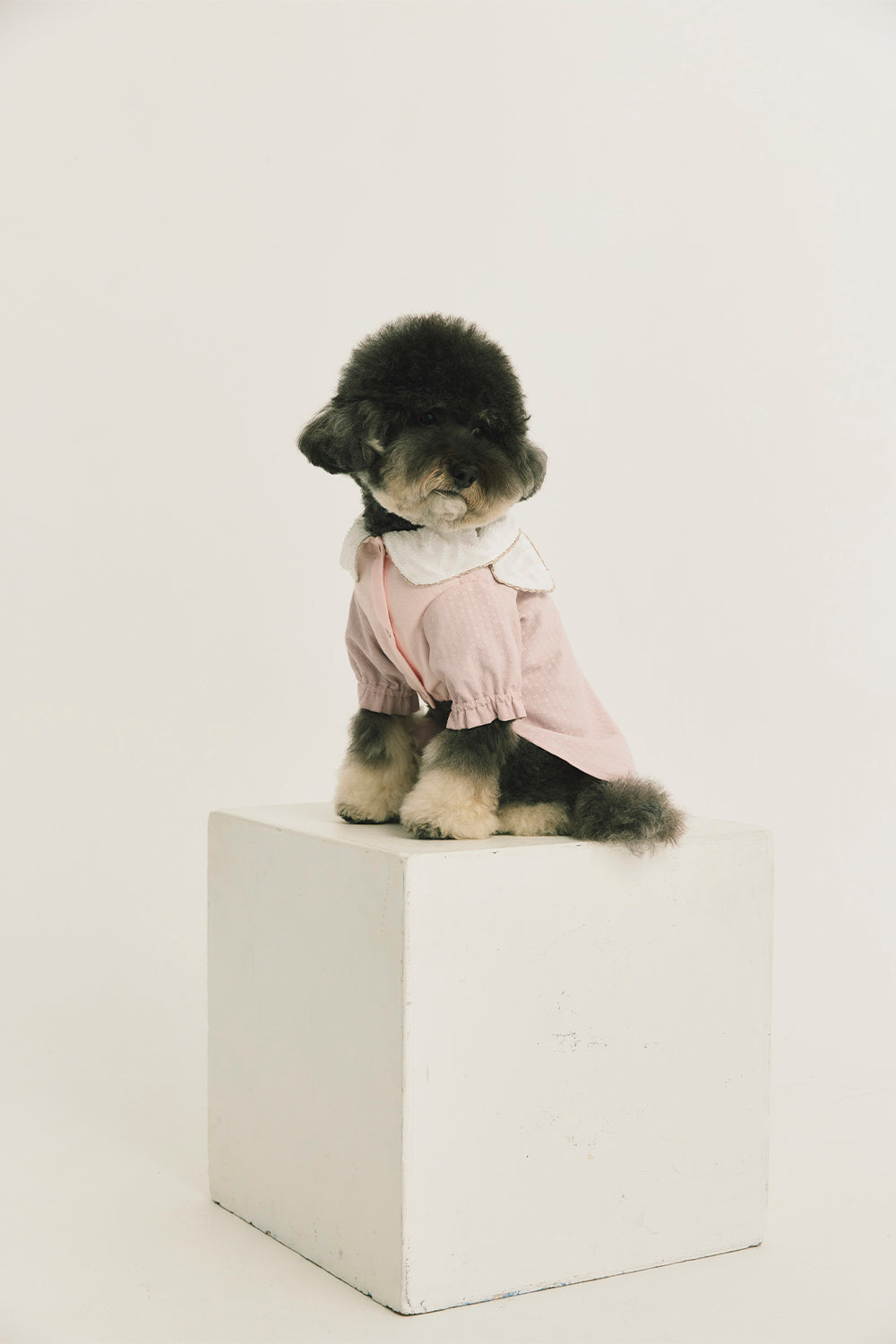 Luxury | Sylvie Sheer Bow-Tie Dress for Pets