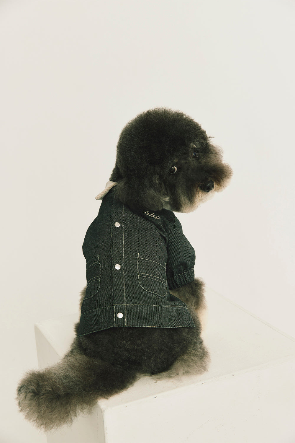 Main | Arthur Adventure Organic Cotton Denim Pet Jacket