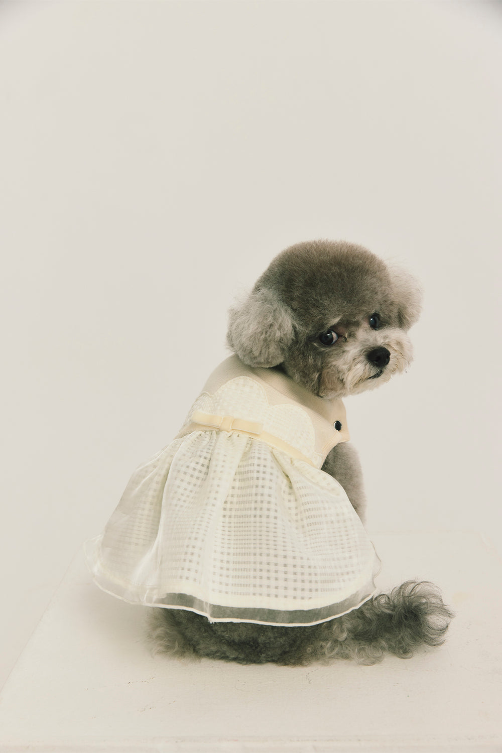 Luxury|Tulle Tale蛋糕洋裝 寵物衣