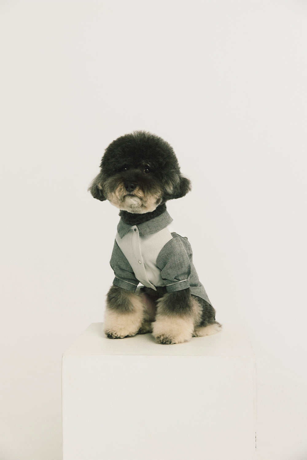 Main | Henry Pleated Bowtie Gentleman Pet Romper