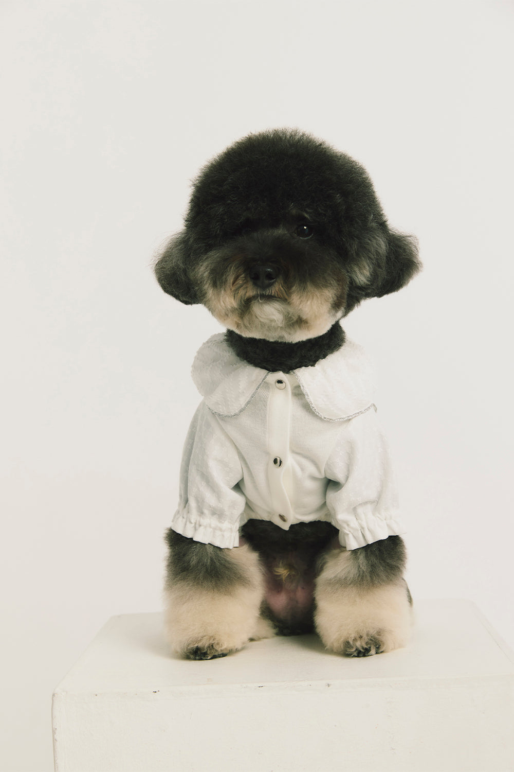 Luxury | Sylvie Sheer Bow-Tie Dress for Pets
