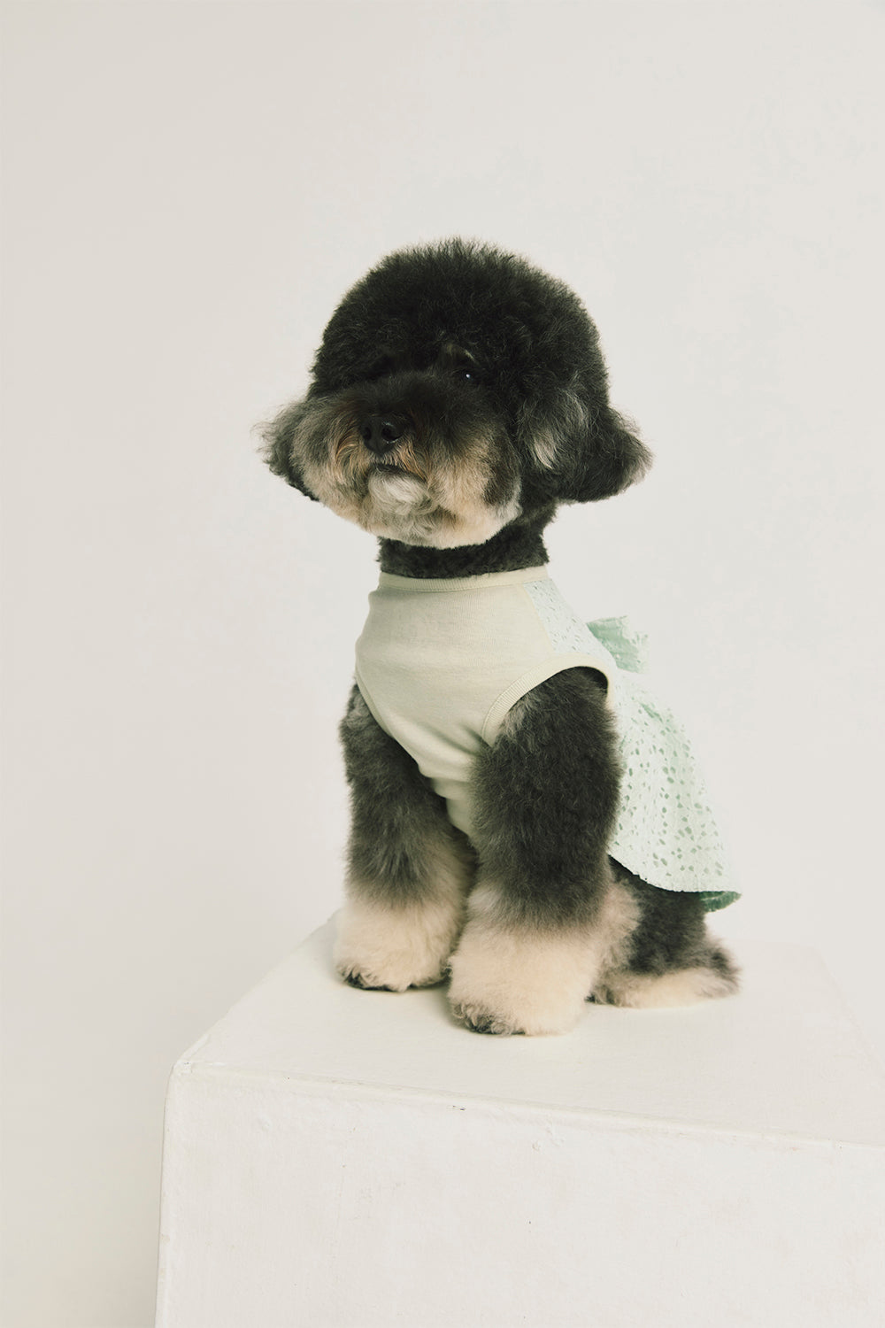 Jellycat | Doll Clothes Royal Bubble Sleeve Lace Dress