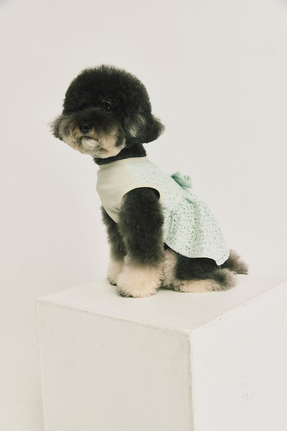 Jellycat | Doll Clothes Royal Bubble Sleeve Lace Dress