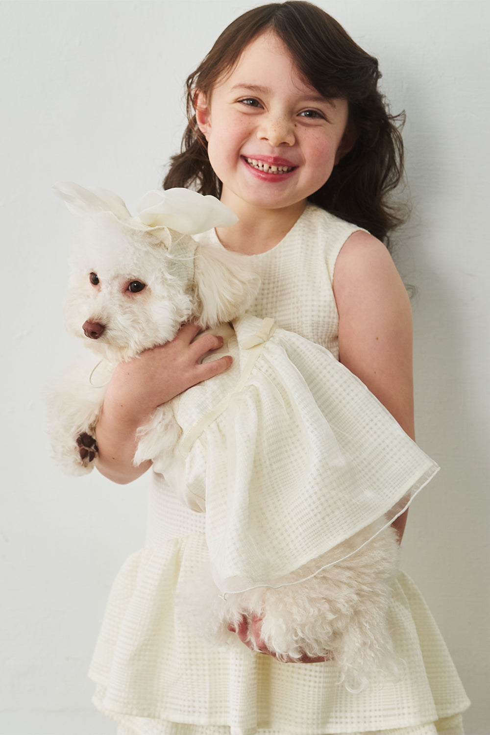 Luxury|Tulle Tale頭飾蝴蝶結 寵物穿搭蝴蝶結