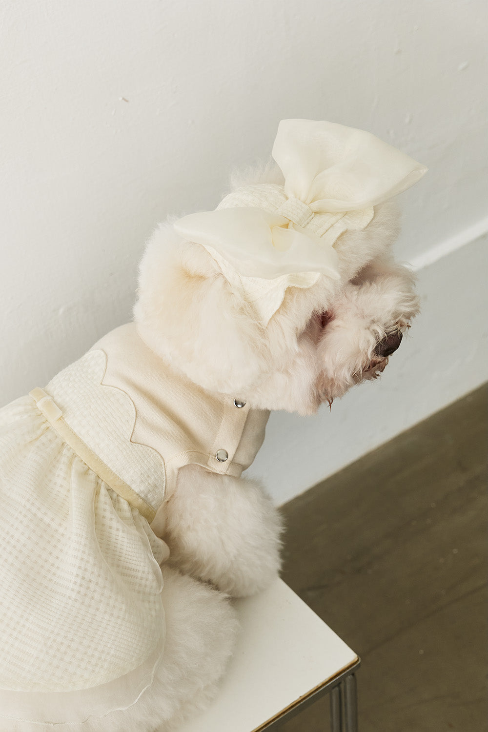 Luxury|Tulle Tale頭飾蝴蝶結 寵物穿搭蝴蝶結