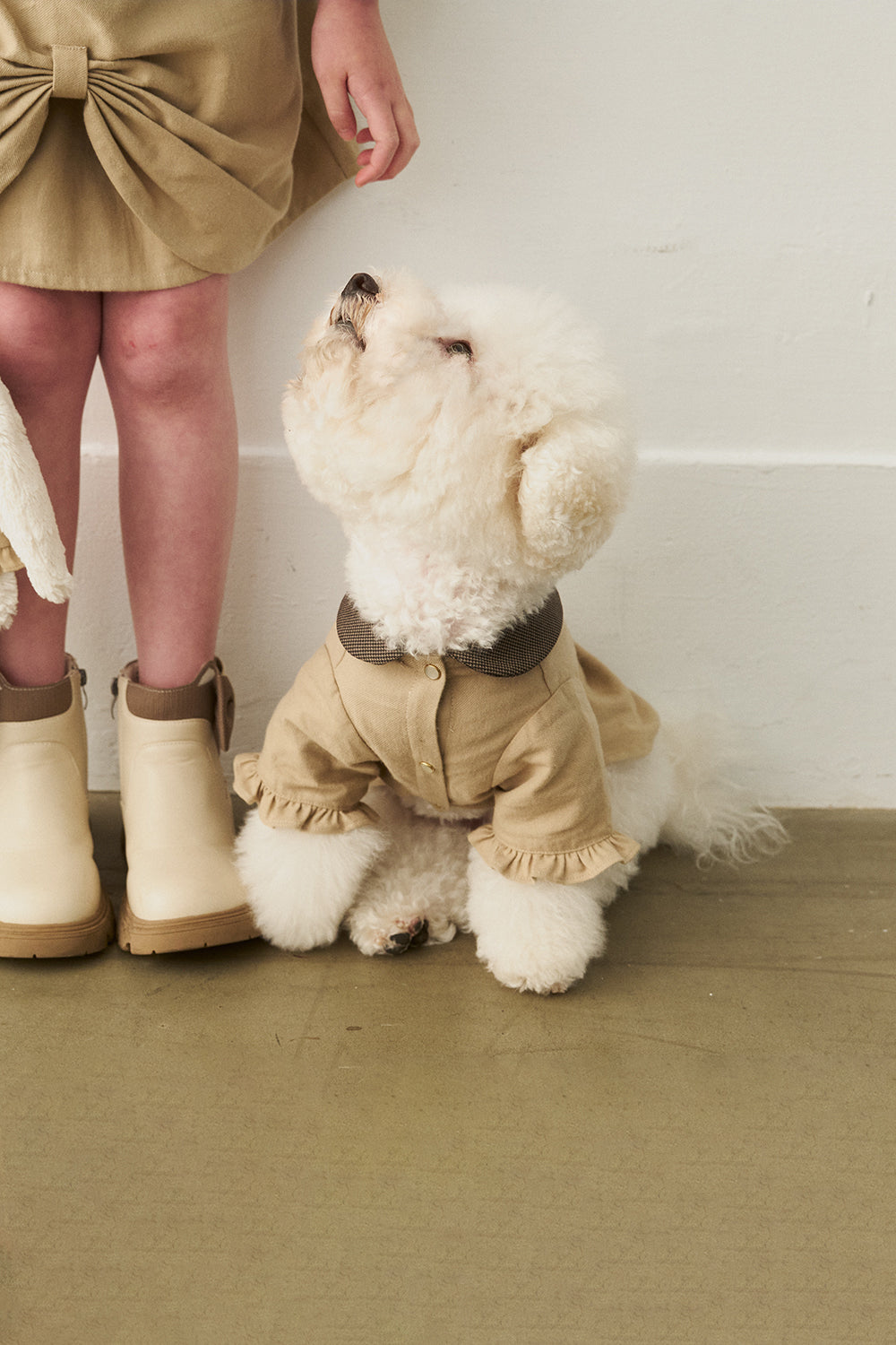 Main|Bubble Bloom 赫本洋裝 寵物衣 | 100%有機棉