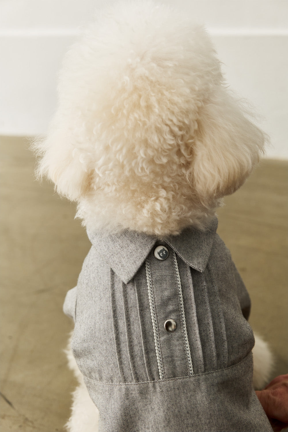 Main|Monsieur 平達克細褶襯衫 寵物衣 | 100%有機棉