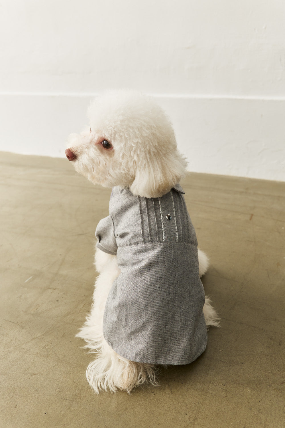 Main|Monsieur 平達克細褶襯衫 寵物衣 | 100%有機棉