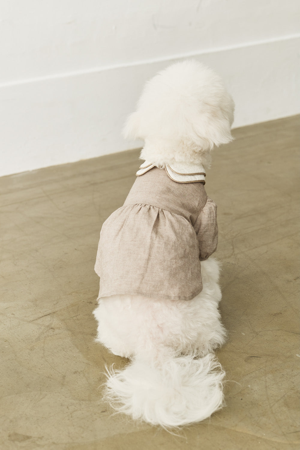 Main|Elise 雙層領洋裝 寵物衣 | 100%有機棉