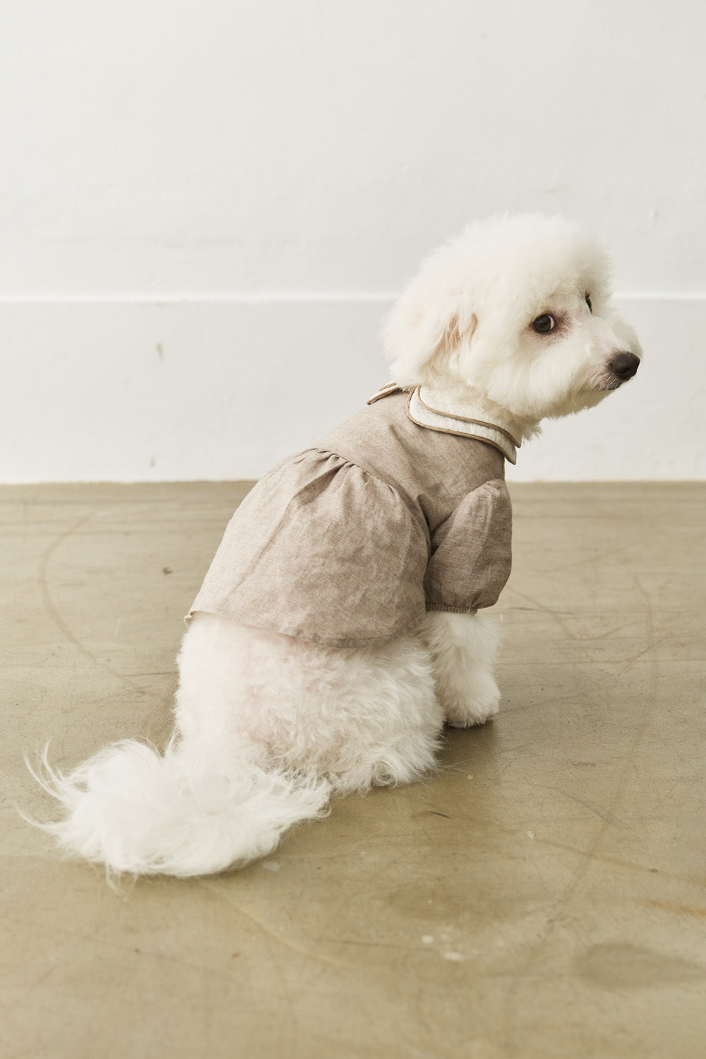 Main|Elise 雙層領洋裝 寵物衣 | 100%有機棉