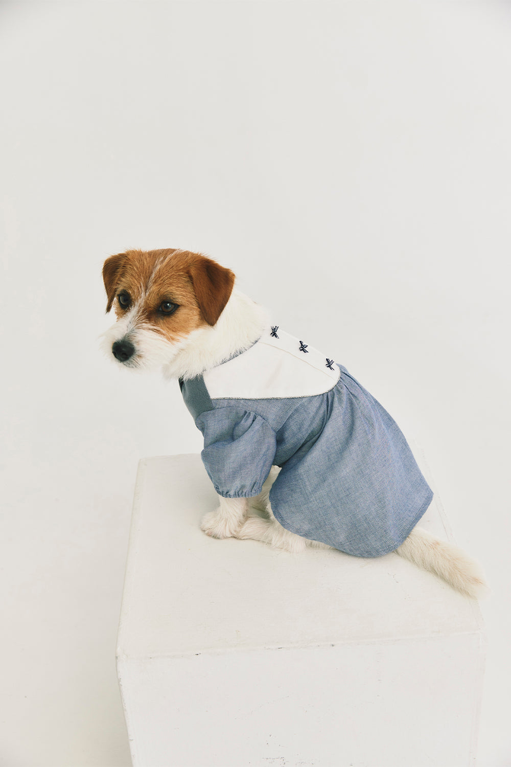 Main | Elsie Pleated Bow Sweet Pet Dress