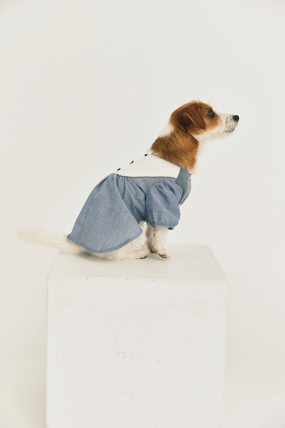 Main | Elsie Pleated Bow Sweet Pet Dress