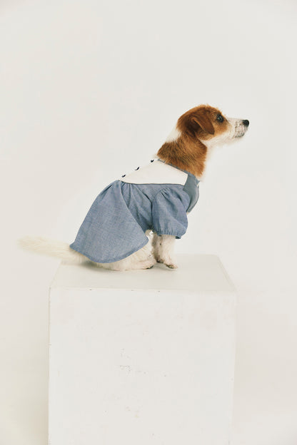 Main | Elsie Pleated Bow Sweet Pet Dress