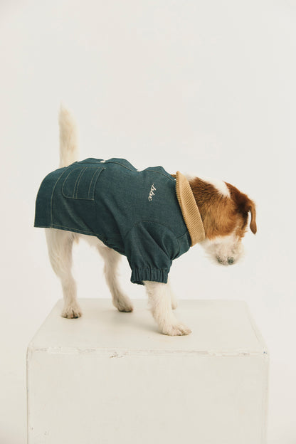 Main | Arthur Adventure Organic Cotton Denim Pet Jacket