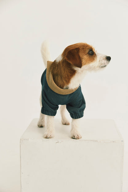 Main | Arthur Adventure Organic Cotton Denim Pet Jacket