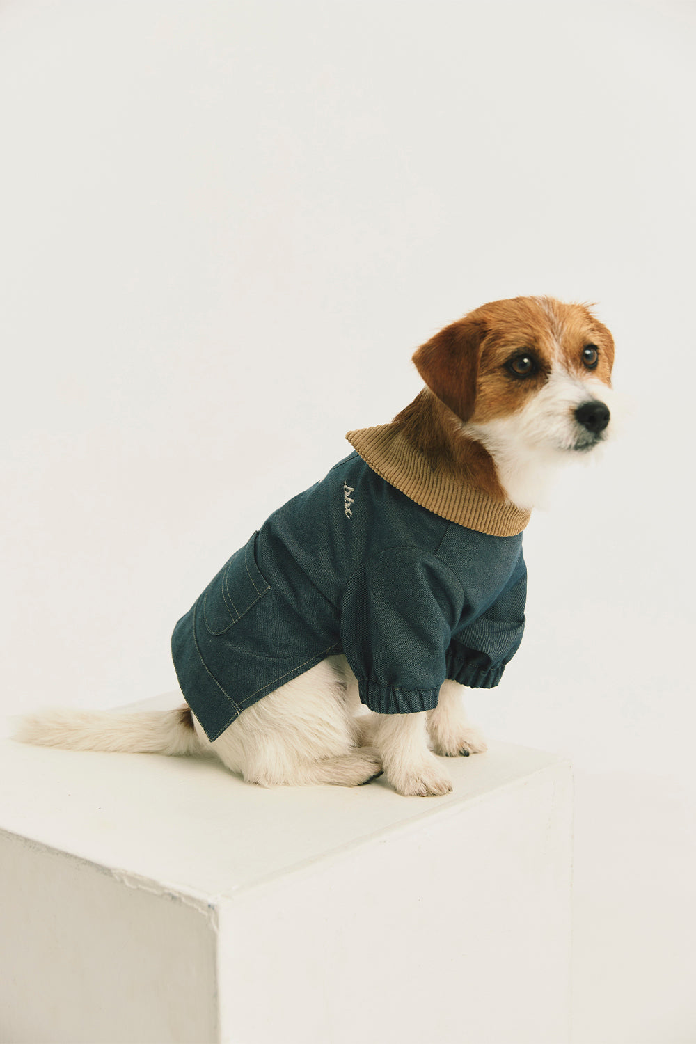Main | Arthur Adventure Organic Cotton Denim Pet Jacket