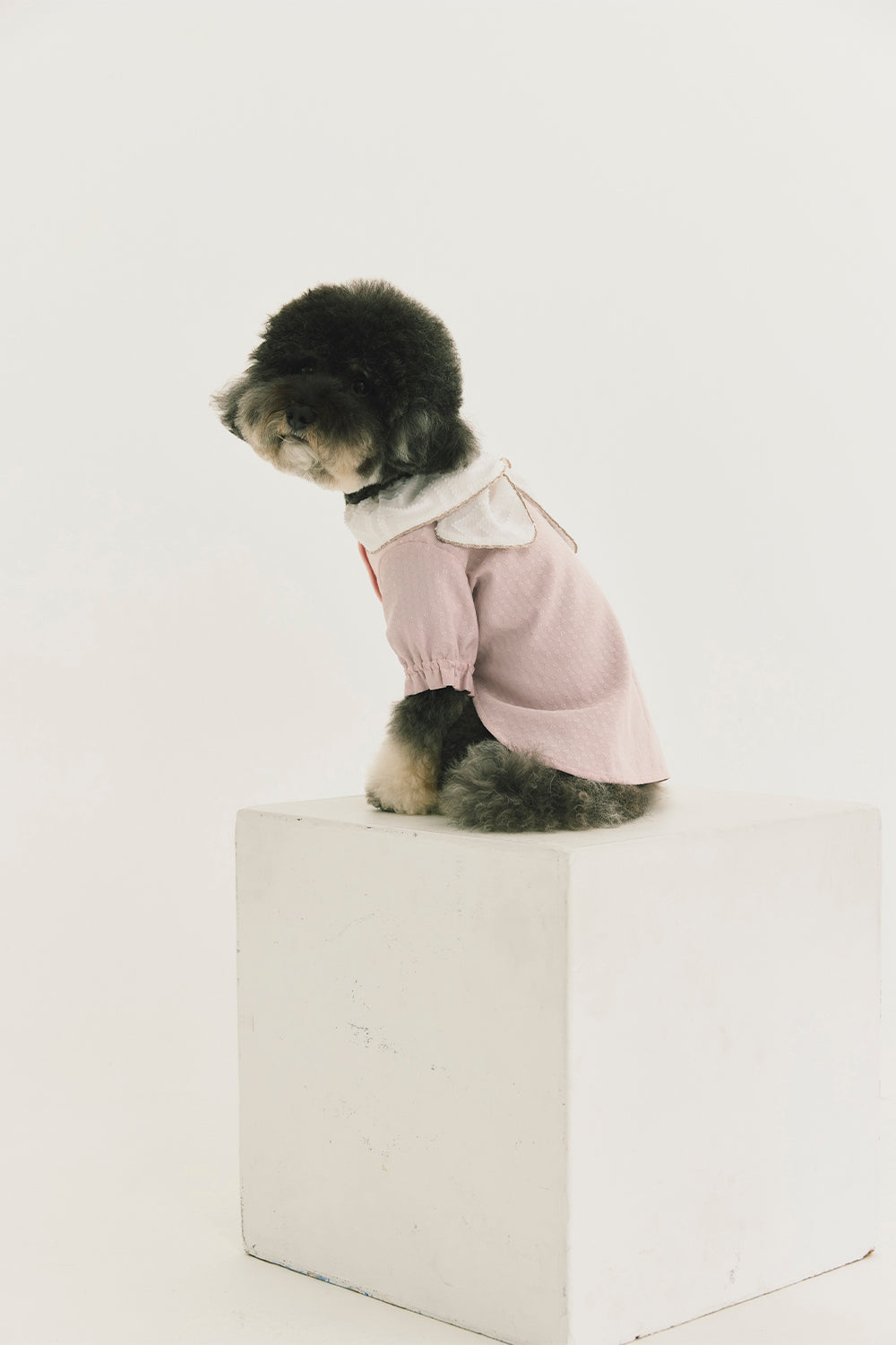 Luxury | Sylvie Sheer Bow-Tie Dress for Pets