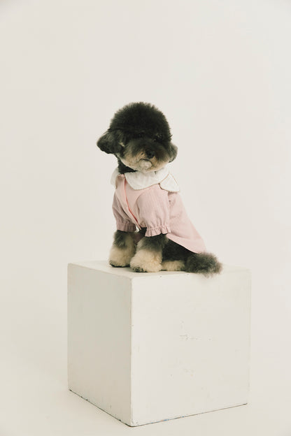 Luxury | Sylvie Sheer Bow-Tie Dress for Pets