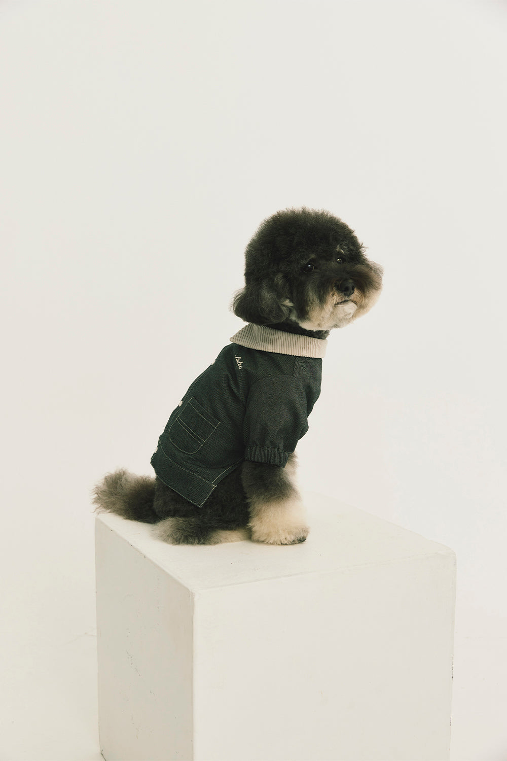 Main | Arthur Adventure Organic Cotton Denim Pet Jacket