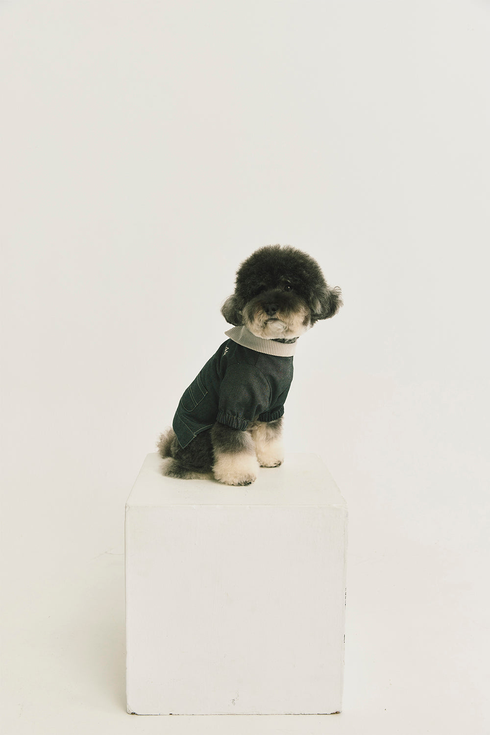 Main | Arthur Adventure Organic Cotton Denim Pet Jacket