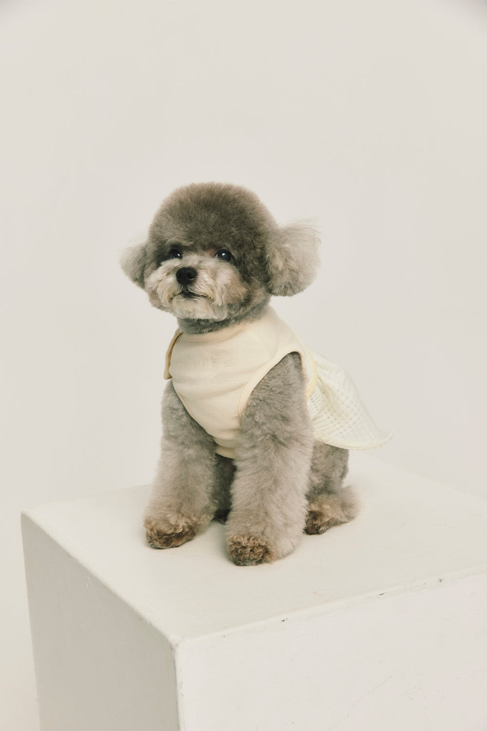 Luxury｜Tulle Tale蛋糕洋裝 寵物衣