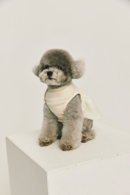 Luxury｜Tulle Tale蛋糕洋裝 寵物衣