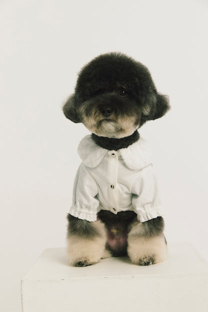 Luxury | Sylvie Sheer Bow-Tie Dress for Pets