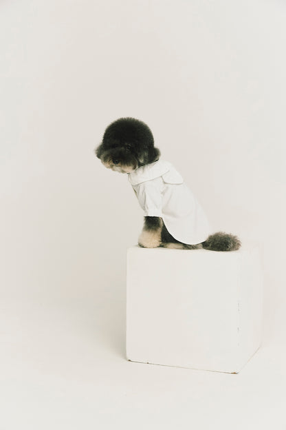 Luxury | Sylvie Sheer Bow-Tie Dress for Pets