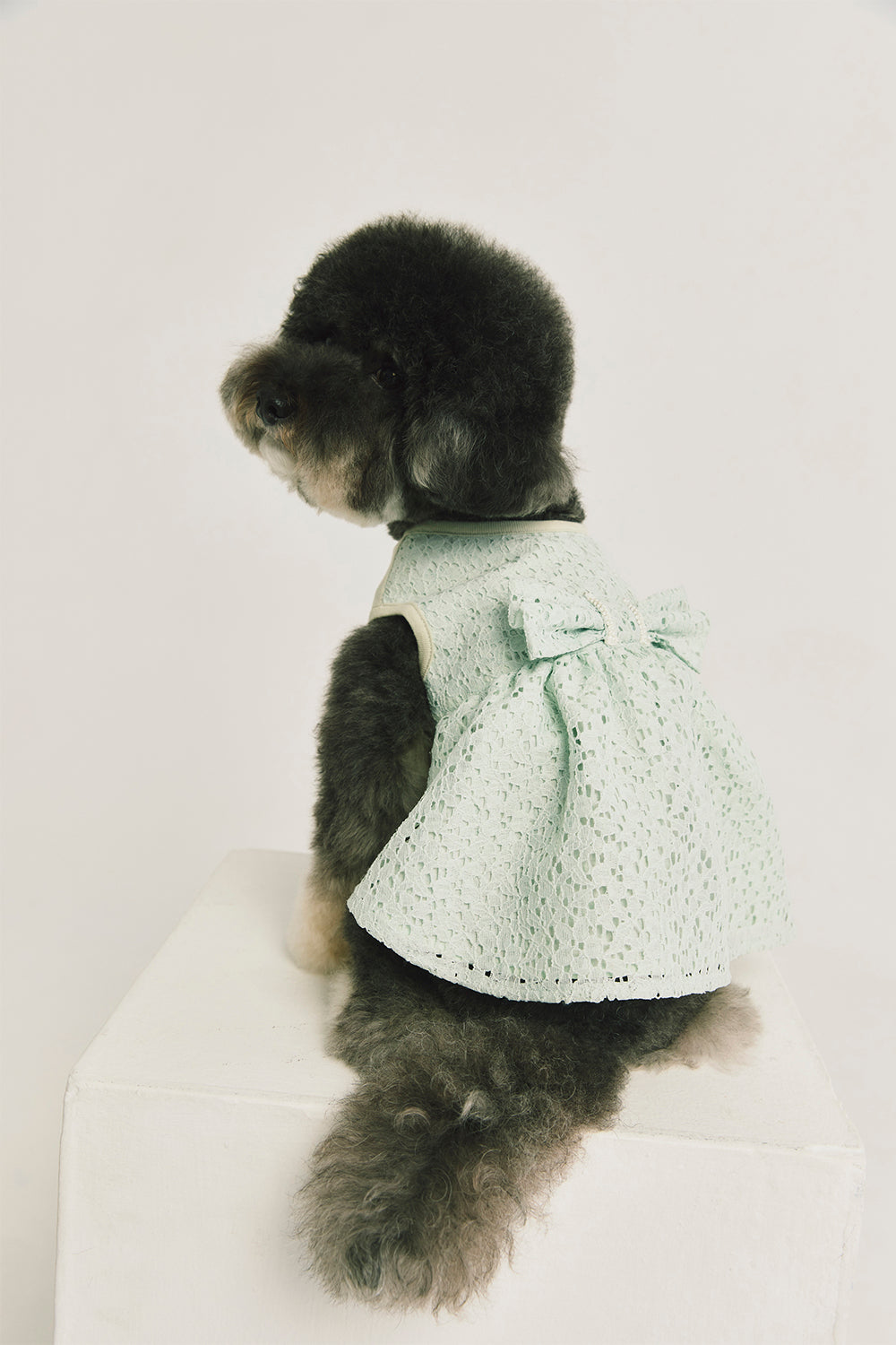 Jellycat | Doll Clothes Royal Bubble Sleeve Lace Dress