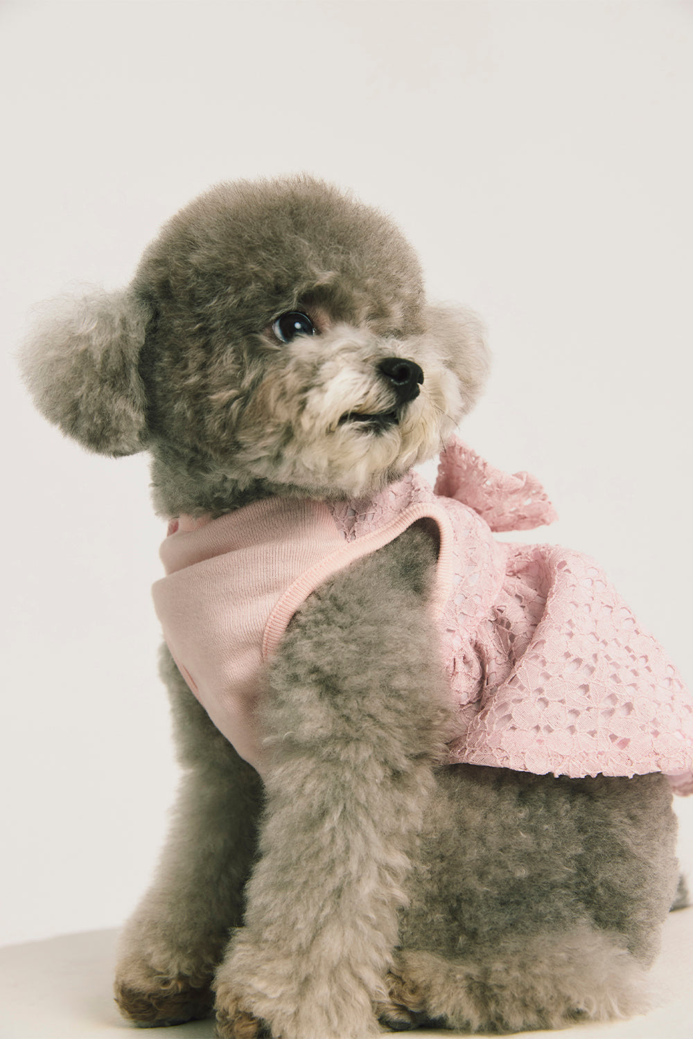 Jellycat | Doll Clothes Royal Bubble Sleeve Lace Dress