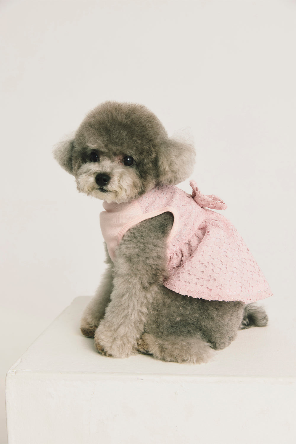 Jellycat | Doll Clothes Royal Bubble Sleeve Lace Dress