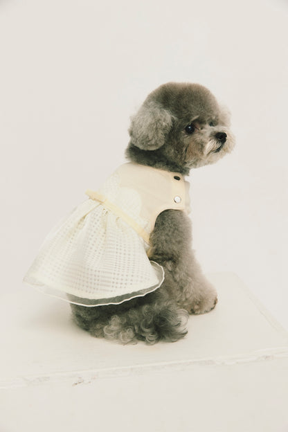 Luxury｜Tulle Tale蛋糕洋裝 寵物衣