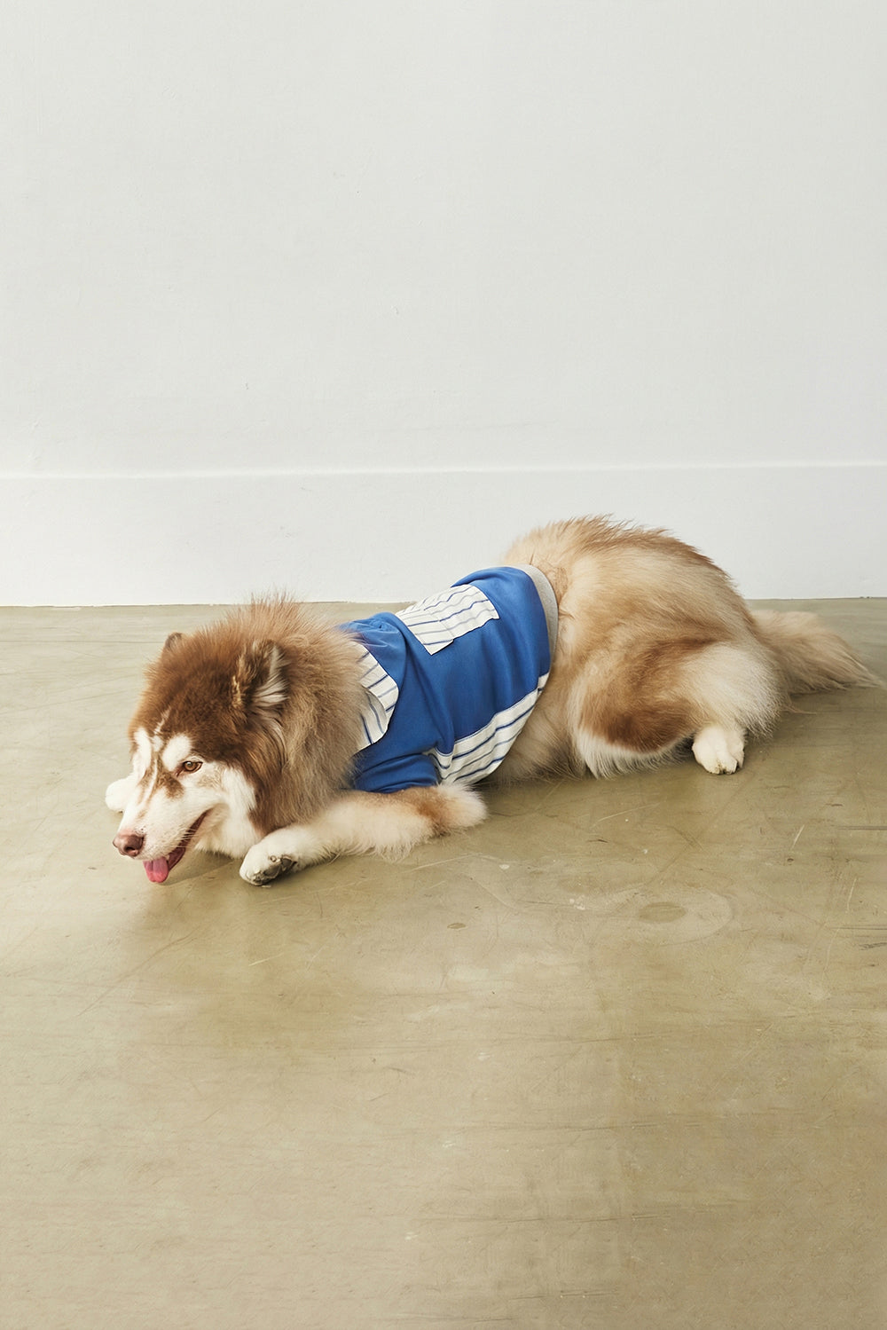 Main｜Cozy Catcher 連帽棒球風 寵物衣 ｜ 100%有機棉