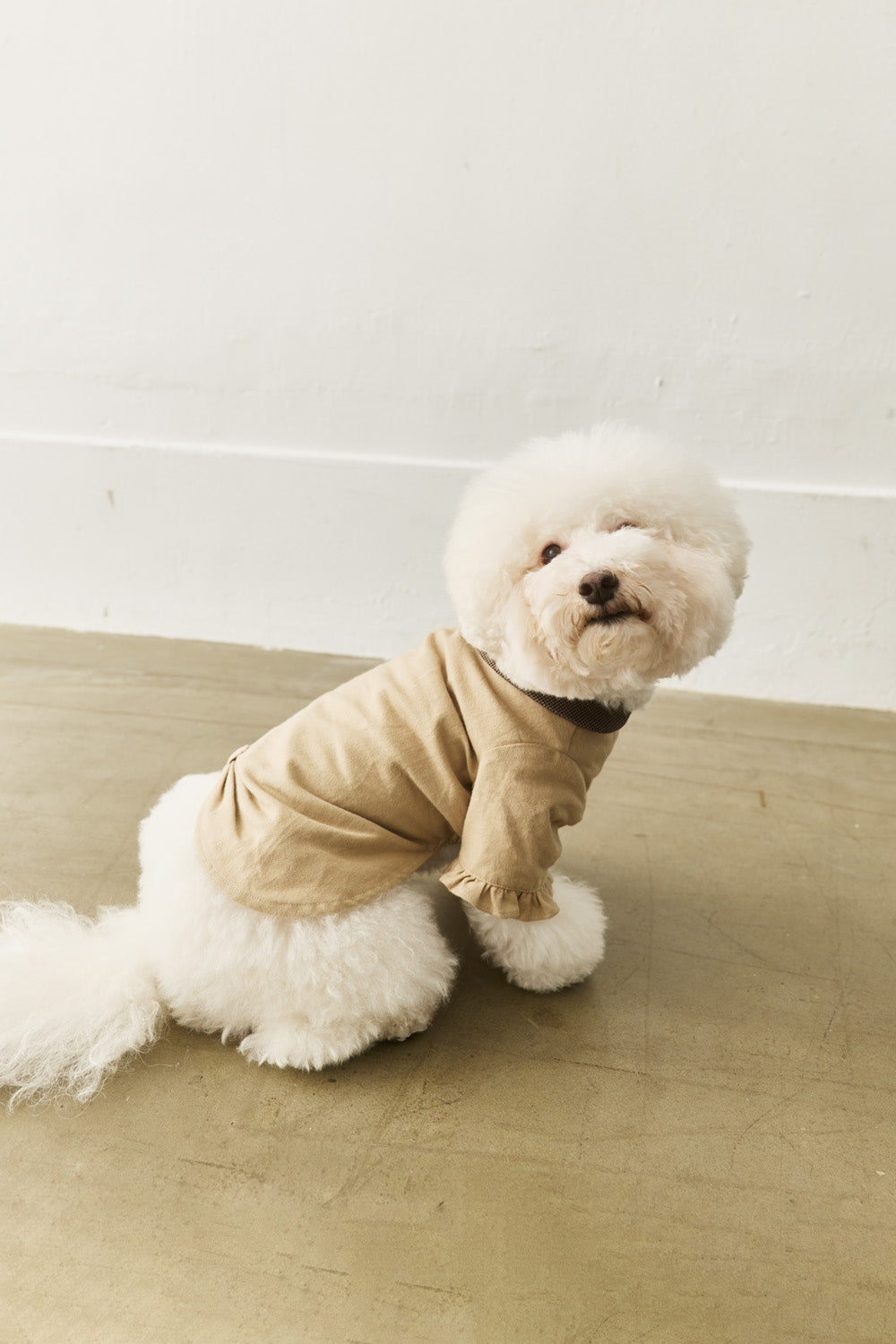 Main｜Bubble Bloom 赫本洋裝 寵物衣 ｜ 100%有機棉