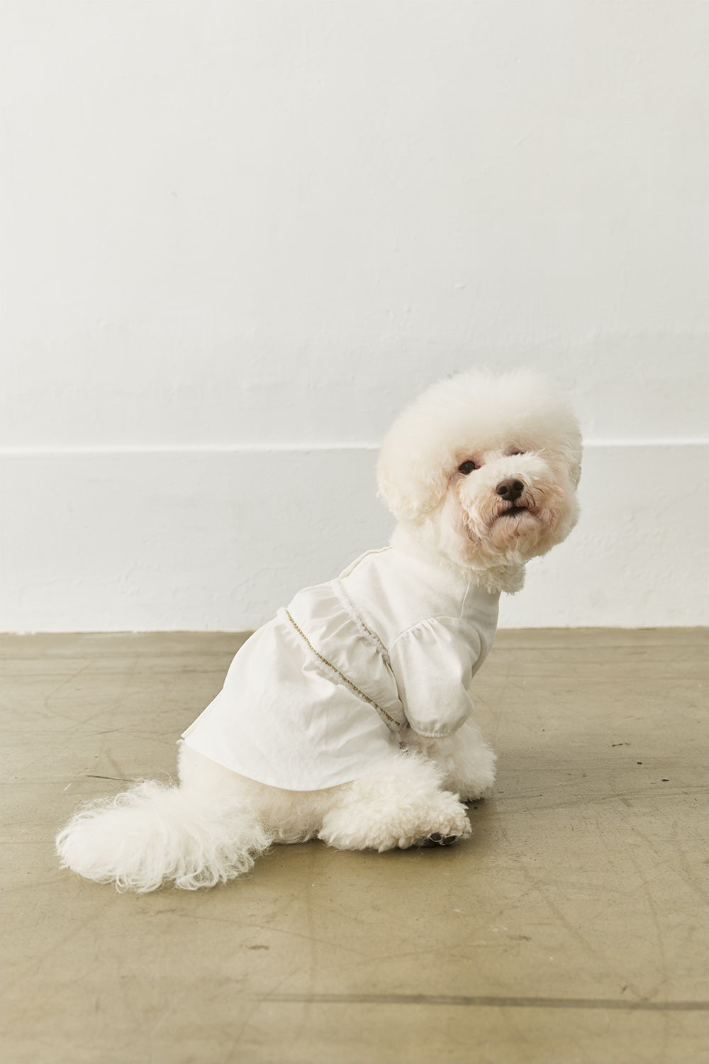 Main｜Tiny Twirl 蛋糕洋裝 寵物衣 ｜ 100%有機棉