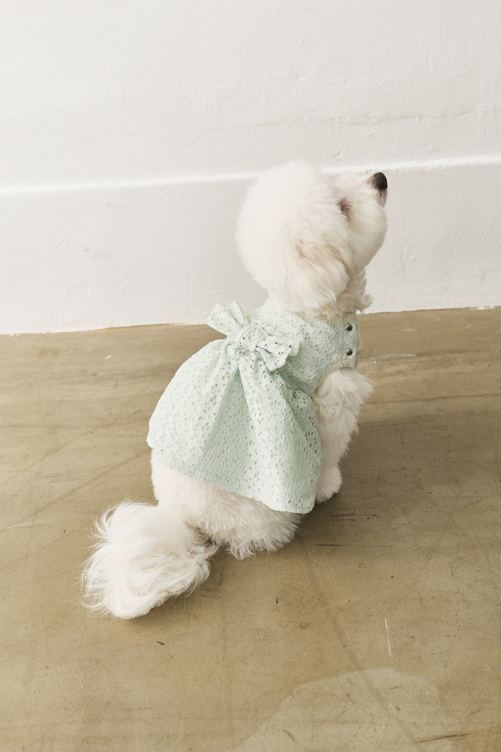 Jellycat | Doll Clothes Royal Bubble Sleeve Lace Dress
