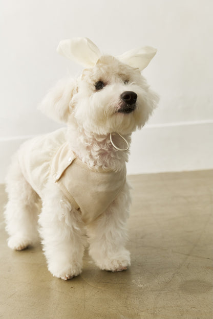 Luxury｜Tulle Tale頭飾蝴蝶結    寵物穿搭蝴蝶結