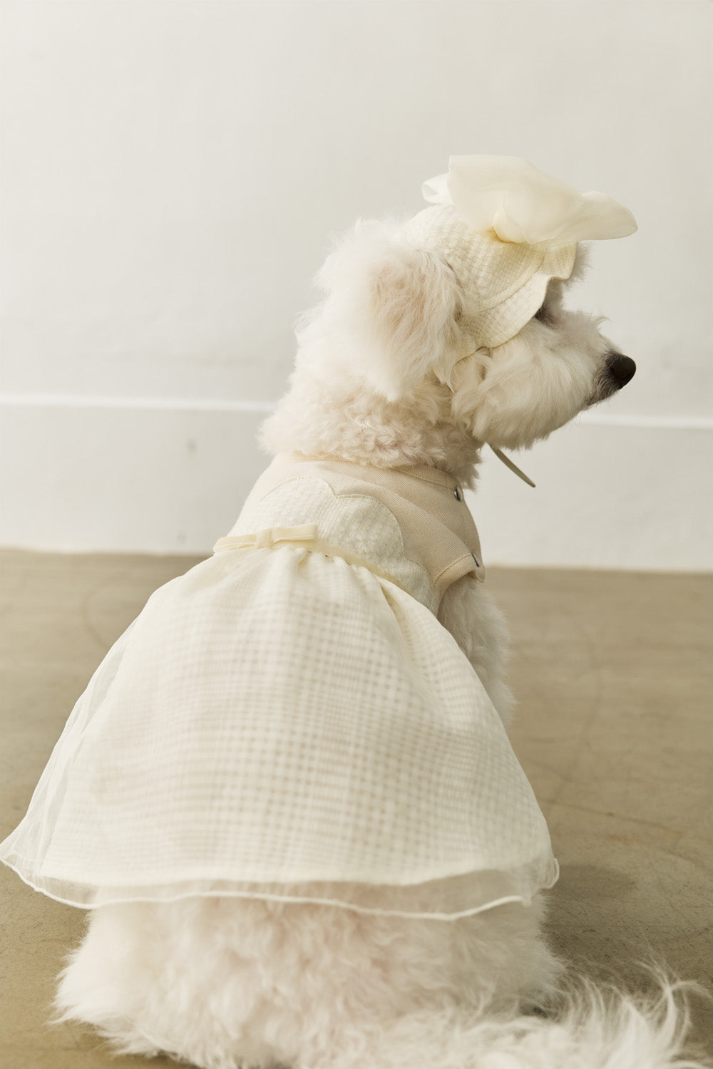 Luxury｜Tulle Tale頭飾蝴蝶結    寵物穿搭蝴蝶結