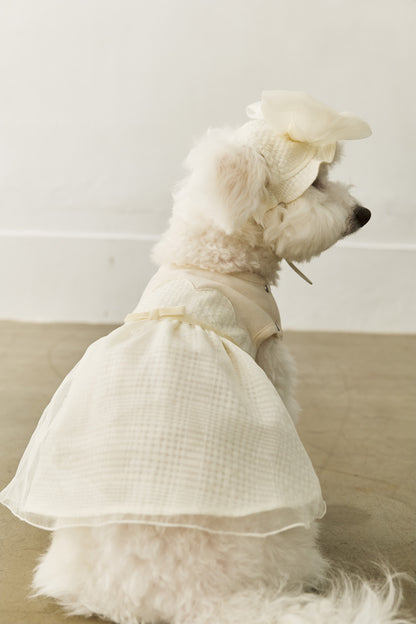 Luxury｜Tulle Tale頭飾蝴蝶結    寵物穿搭蝴蝶結